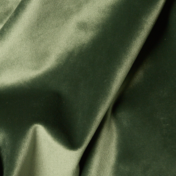 Vert sapin : comment adopter cette couleur dans votre décoration intérieure ?