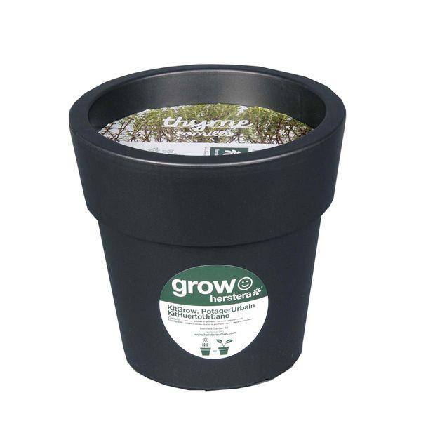 Kit thym à faire pousser en pot 24 cm anthracite