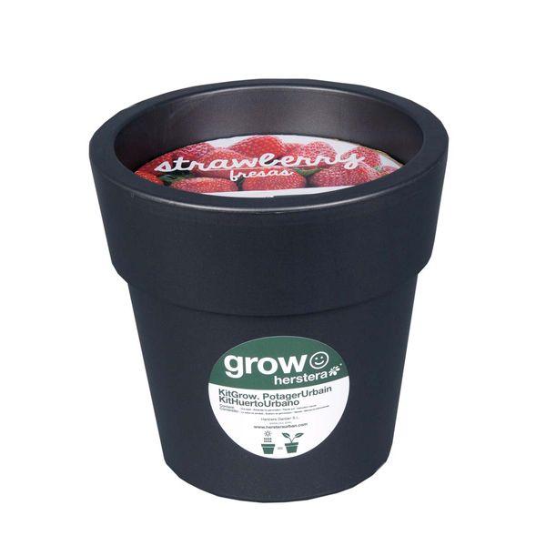 Kit fraises à faire pousser en pot 24 cm anthracite
