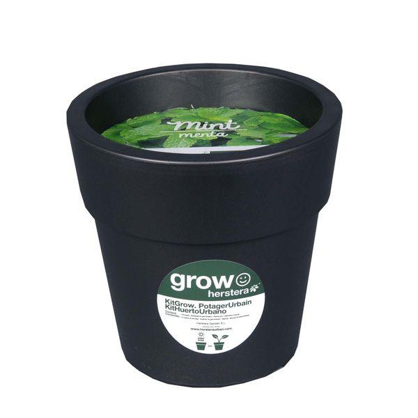 Kit menthe à faire pousser en pot 24 cm anthracite
